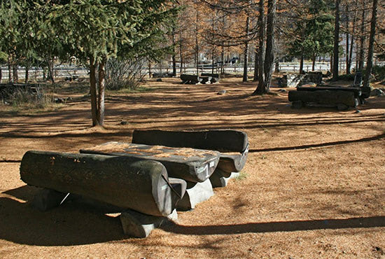 Area picnic