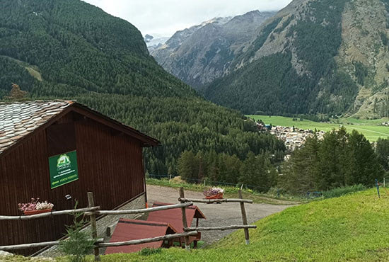 Azienda Agricola Costa del Pino