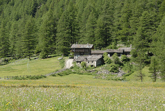 Azienda Agricola e Agriturismo Prasupiaz di Bruno Jeantet
