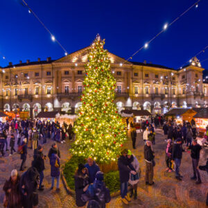 Marché Vert Noël
